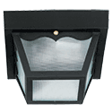 Outdoor Ceiling Fixtures